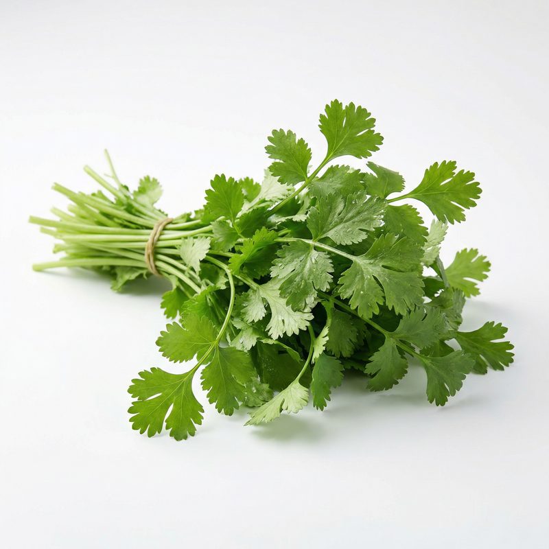 Fresh Coriander